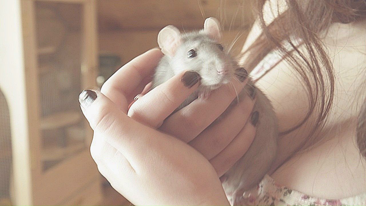 Анастасия Фимушина | | 