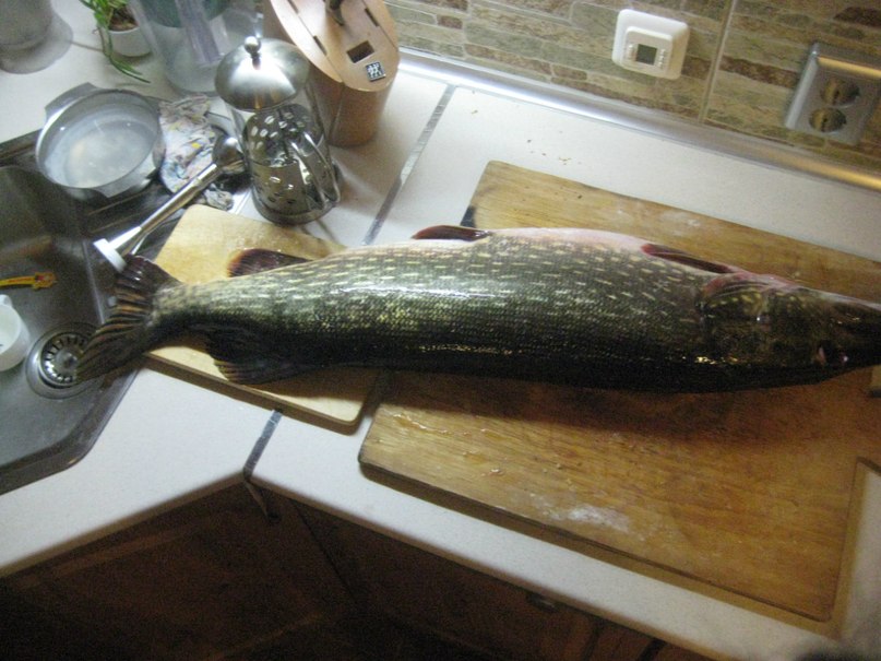 Сергей Филиппов | Выборг