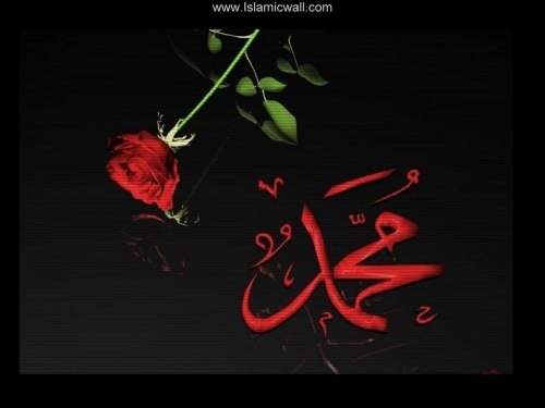 Эльмира Асанова | Белогорск