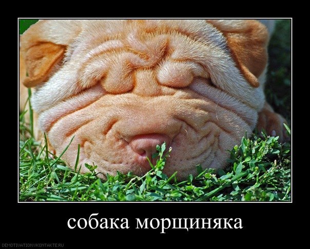 Юля Капелюшок | Киев