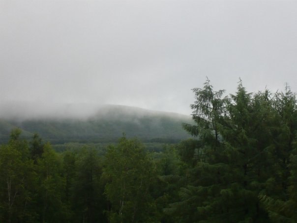 Андрей Бородин Викторович | Санкт-Петербург