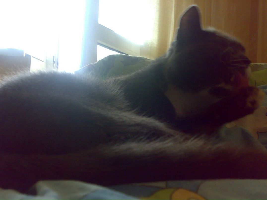 Света Евженко | Днепр (Днепропетровск)