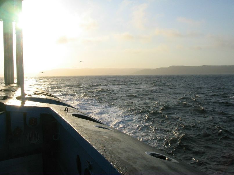 Дмитрий Огорелин | Буй