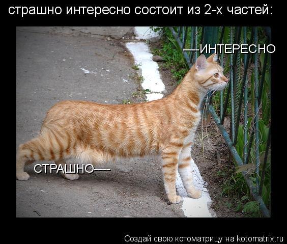 Никанор Малагаров | Донецк