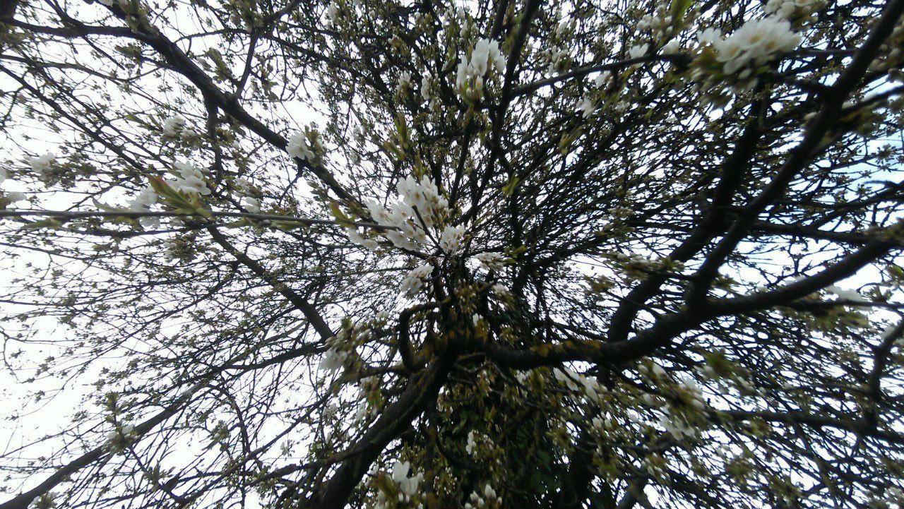 Татьяна Шимайло | 