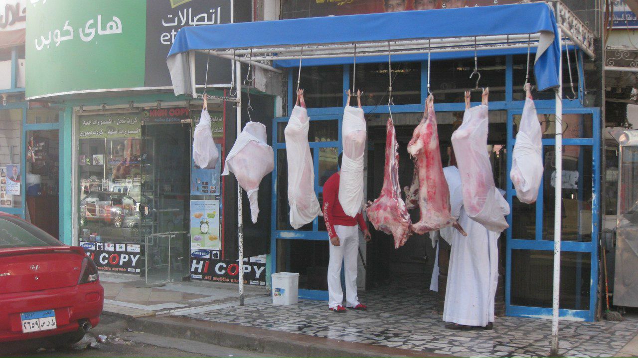 Дмитрий Малышев | Санкт-Петербург