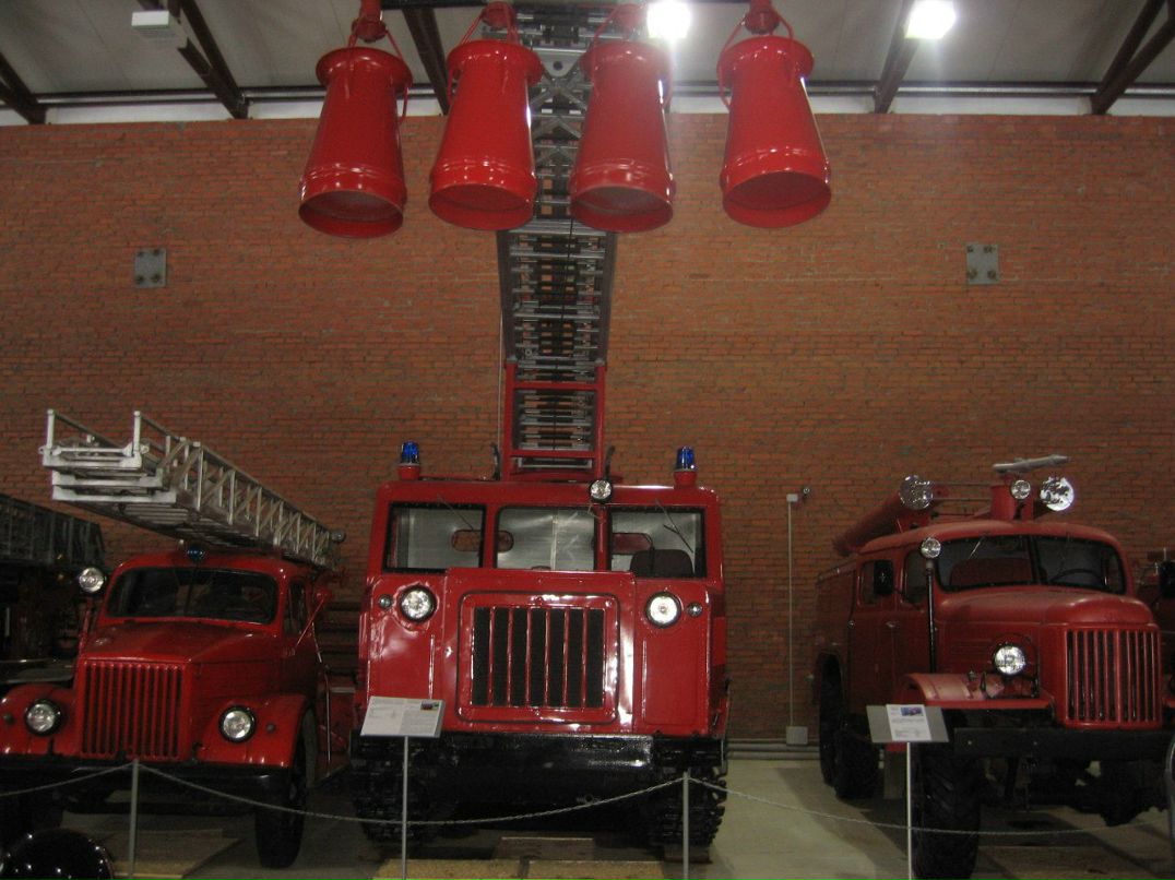 Елена Мильцина | Щелково