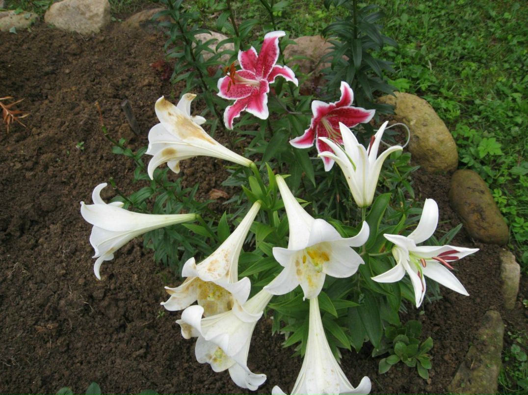 Евгения Рослякова | Санкт-Петербург