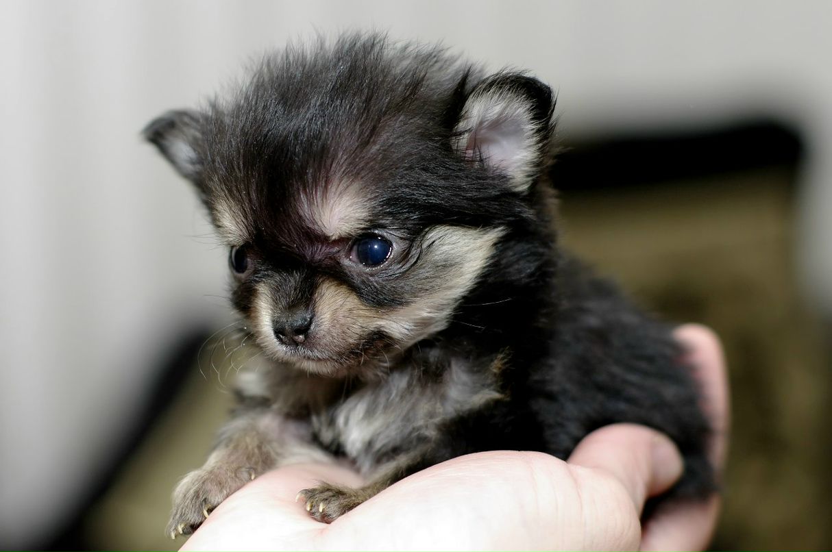 Алина Гусева | Харьков