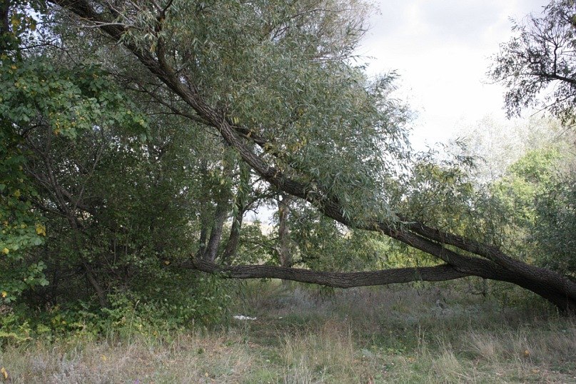 Маргарита Иванова | Москва