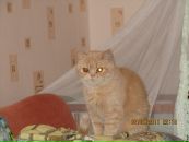Фотография Егор Вязмитин