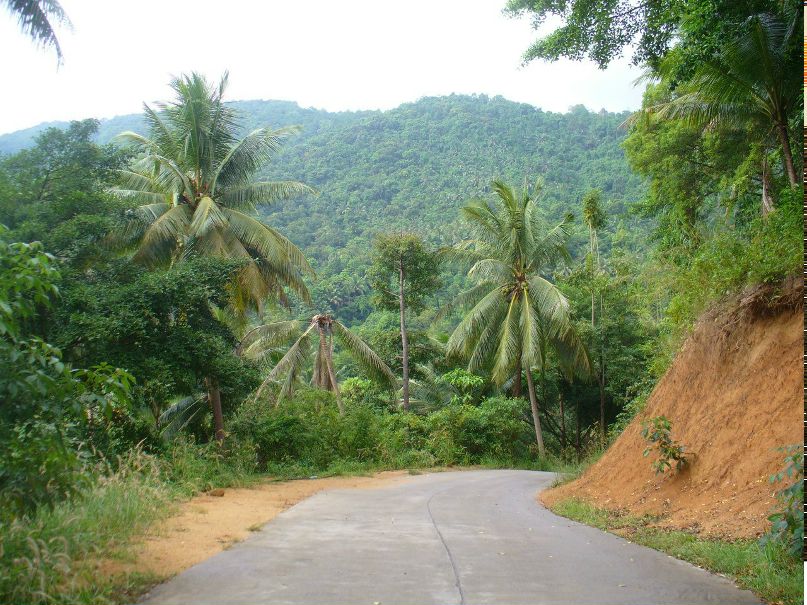 Павел Кокс | New Delhi