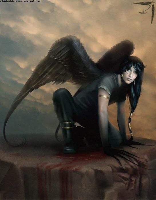 Алла Разіцька aleks | 