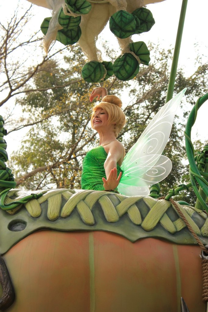 Юлия Стрельцова | Rotterdam