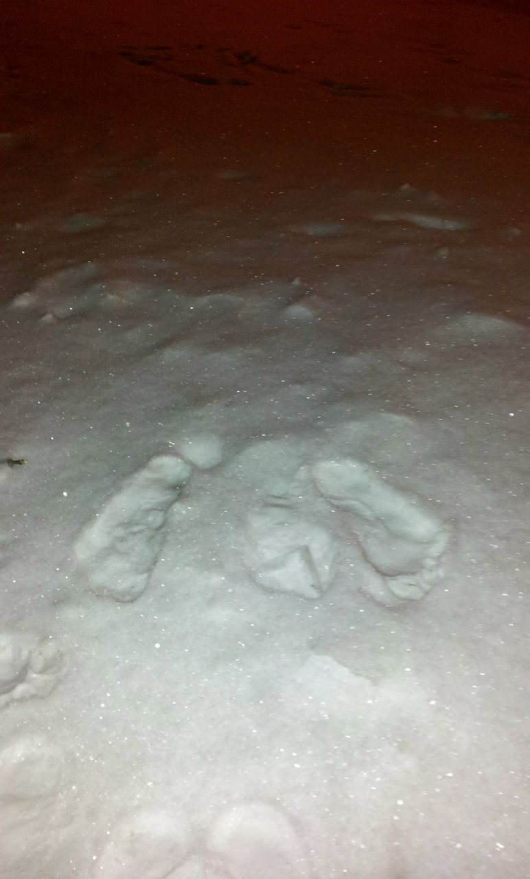 Ольга Калугина | 