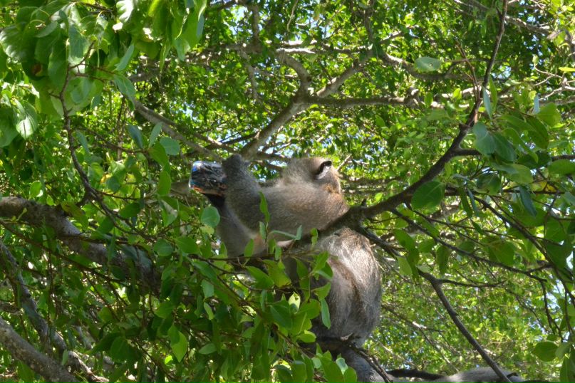 Никита Долгий | Минск