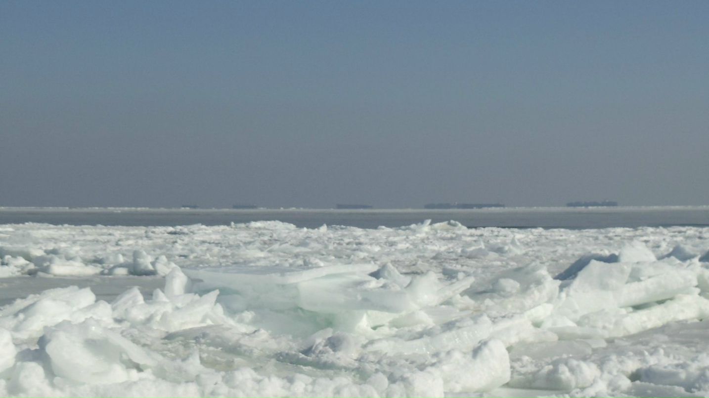 Лёха Дюдюн | Севастополь