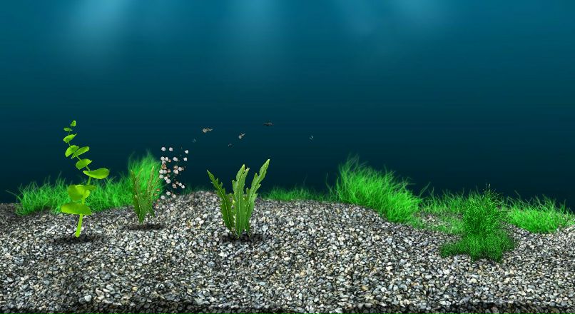 Александр Терёхин николаевич | 