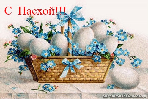 Елена Задворная | Онега