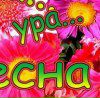 Фотография Елена Якушева
