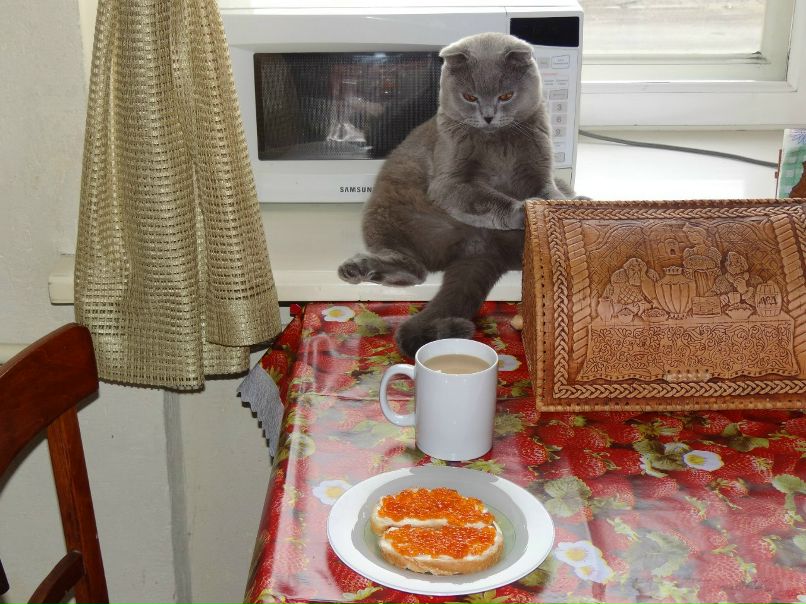 Мария Шумская | Абан