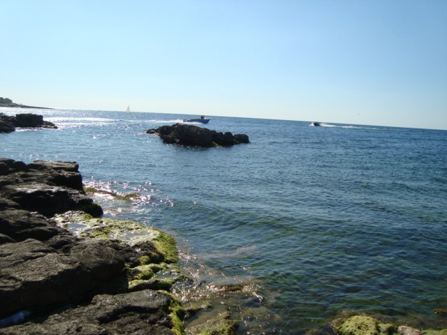 Юлия Еременко | Днепр (Днепропетровск)