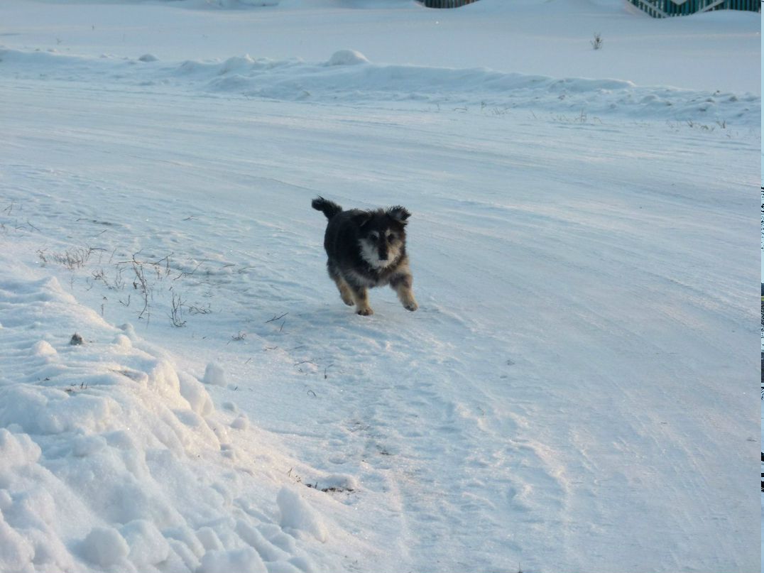 Елена Югова | Усть-Тарка