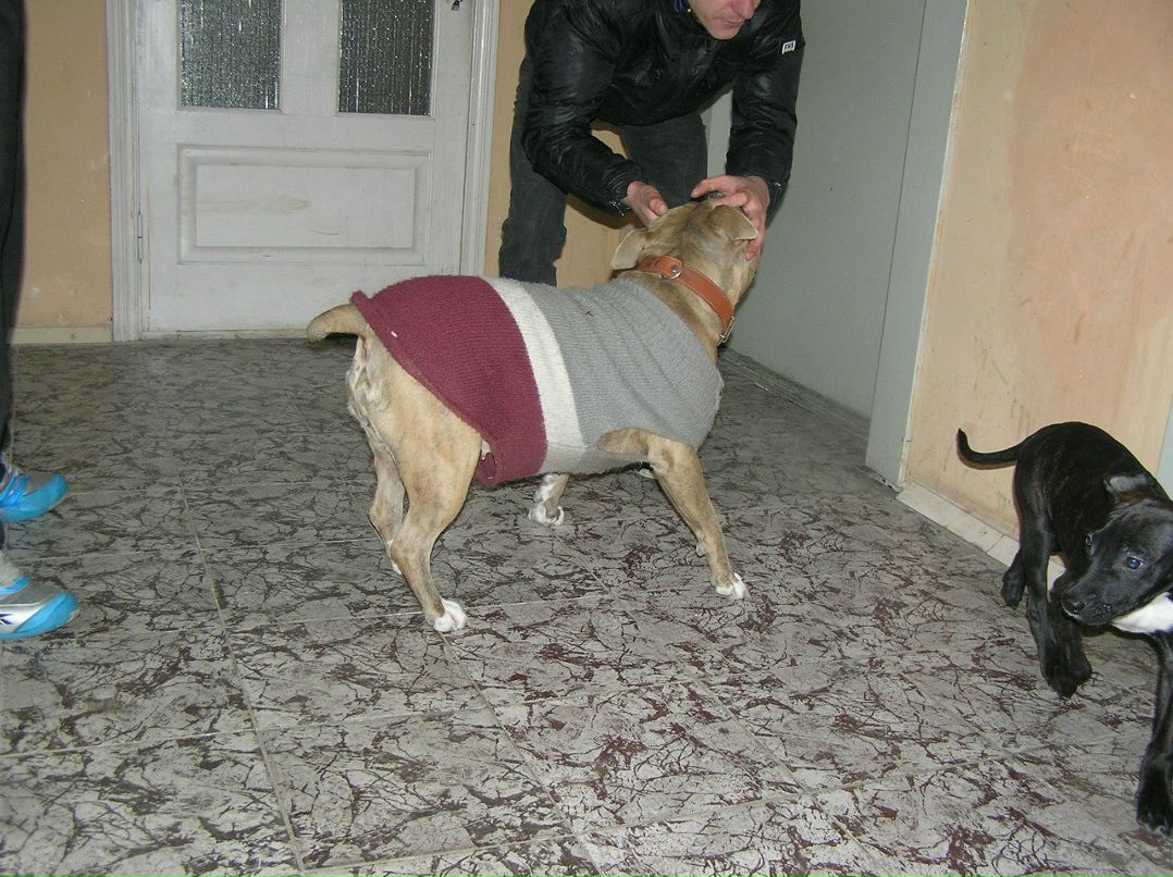 Андрей Лысямба | Amsterdam