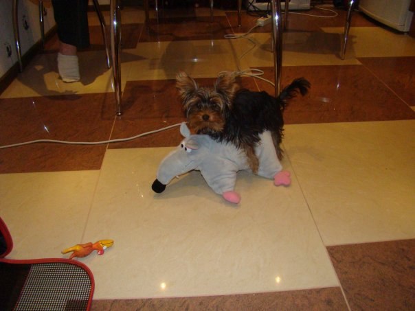 Елена Филатова | Санкт-Петербург