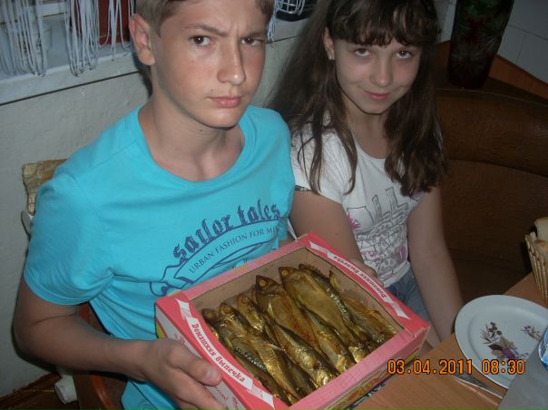 №17, Влада Кукса №17, Влада Кукса