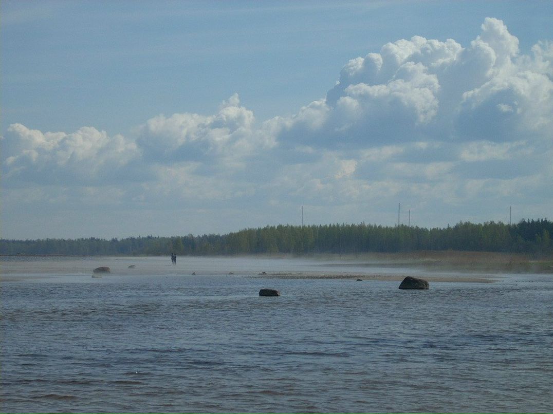 Алексей Егоров | Санкт-Петербург