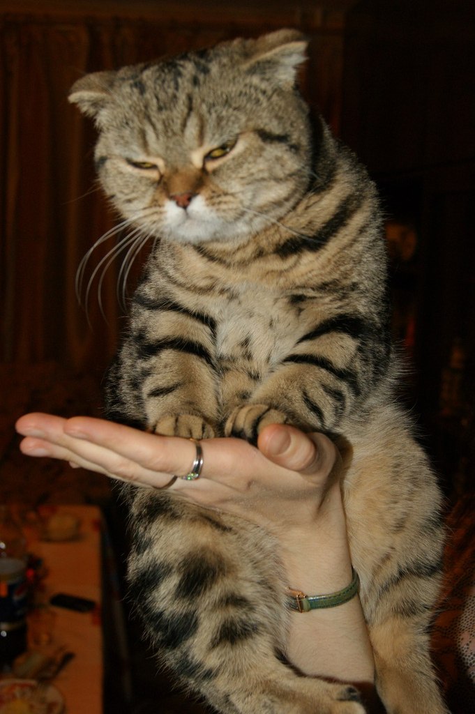 Светлана Акимова | Красноармейск