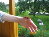 №7 Лау Кэт 23.12.1985: профиль, фото, статус - ВКонтакте