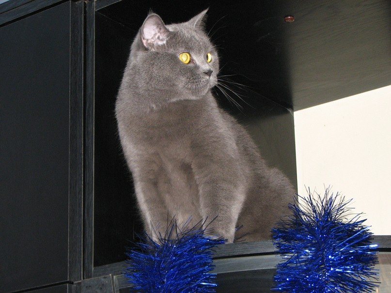 Тамара Ермакова | Санкт-Петербург