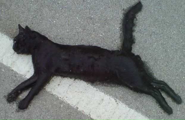 №8, Дмитрий Sam-O-Krut №8, Дмитрий Sam-O-Krut