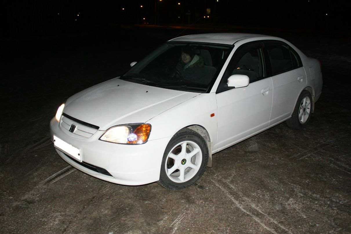 Алексей Молчунов | 