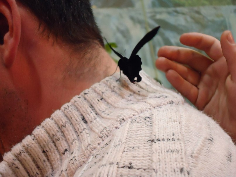 Алёна Корольская | Санкт-Петербург