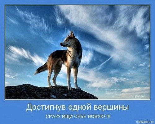 Галина Нестерук Galactica | Ростов-на-Дону