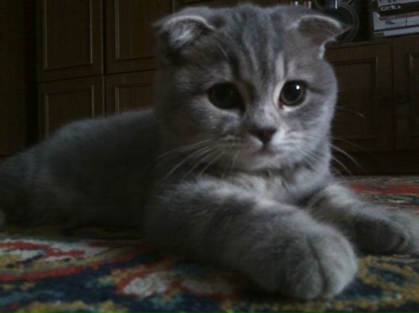 №9, Сашка Никифоров, 33 года, Юрга №9, Сашка Никифоров, 33 года, Юрга