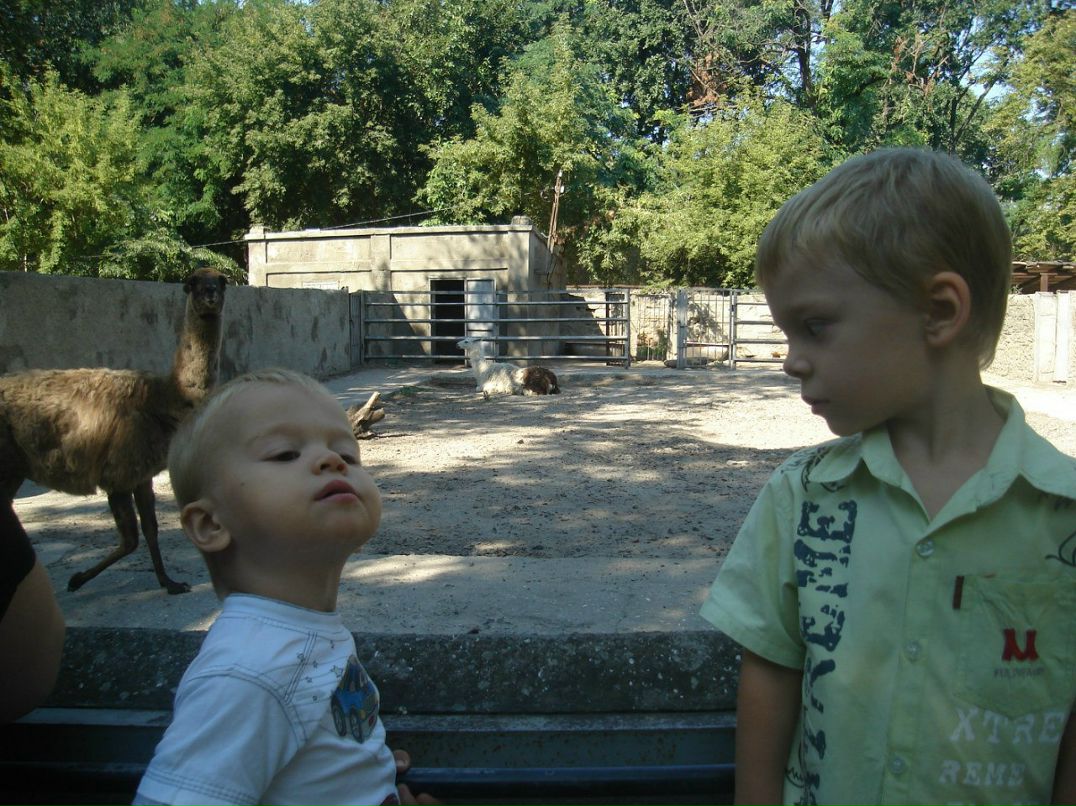 Оксана Делий(Цымбалюк) | 