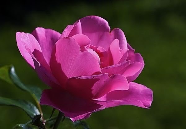 Таня Pozigun | Львов