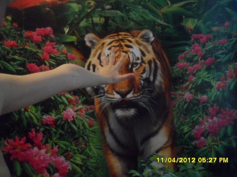 Татьяна Ваганова | Вышний Волочек