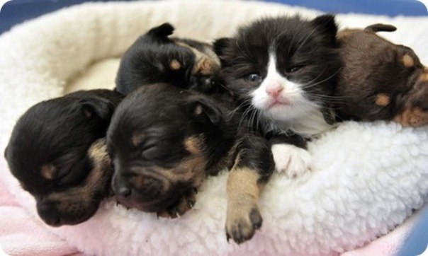 №63, Леся Коцкович-Гузовата, 37 лет, Долина №63, Леся Коцкович-Гузовата, 37 лет, Долина