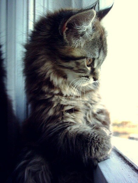 Юлия Владимирова | Одесса