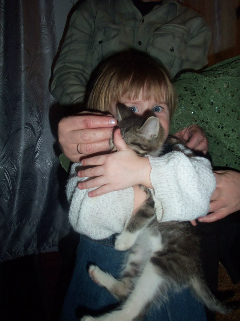 Серёга Никитин | Курган