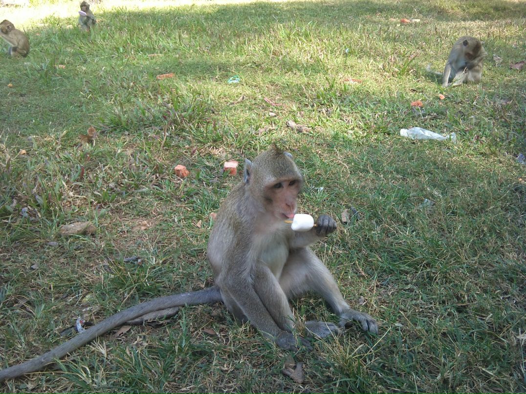 Юлия Андрющенко | Калининград