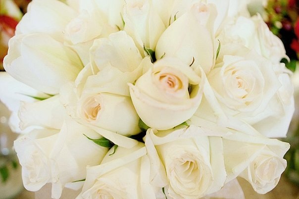 №134, Алёна Туликова, Москва №134, Алёна Туликова, Москва