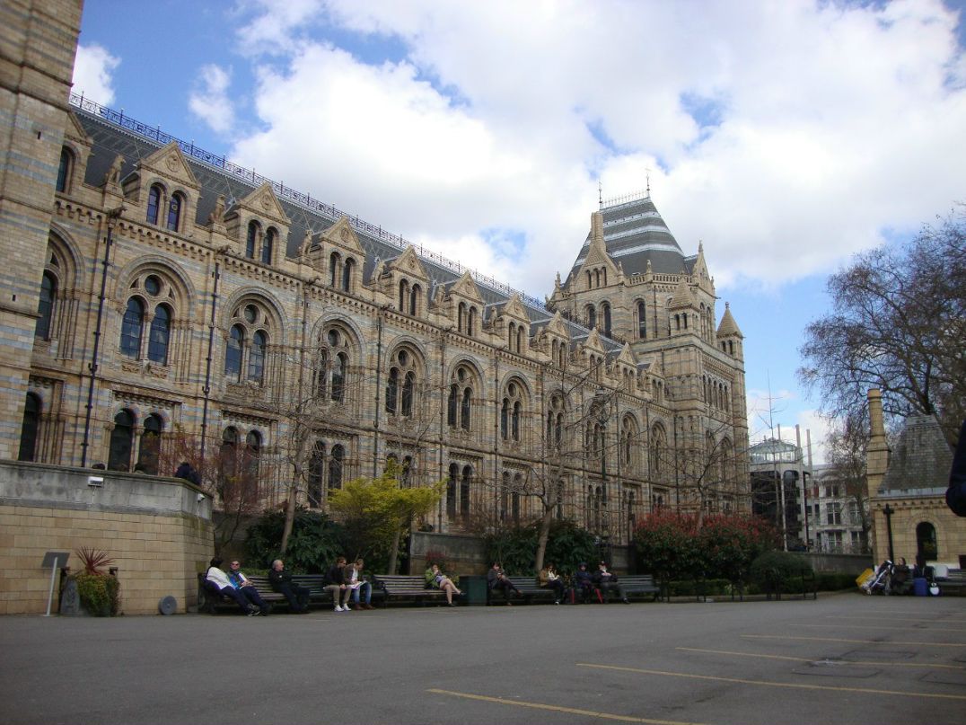 Иван Новиков | Chicago