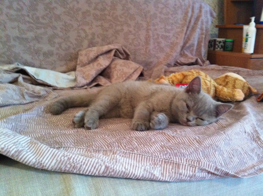 Екатерина Гаранджук | Красноярск