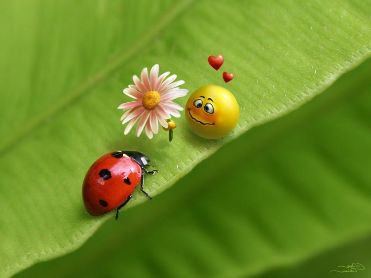 Татьяна Устинкова | Рязань